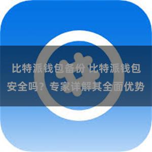 比特派钱包备份 比特派钱包安全吗？专家详解其全面优势