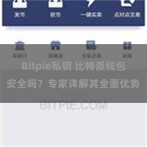 Bitpie私钥 比特派钱包安全吗？专家详解其全面优势