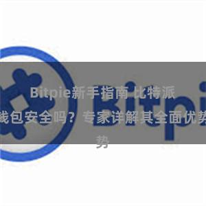 Bitpie新手指南 比特派钱包安全吗？专家详解其全面优势