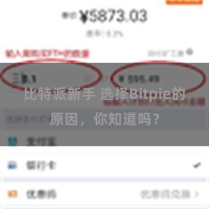 比特派新手 选择Bitpie的原因，你知道吗？