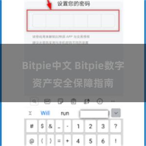 Bitpie中文 Bitpie数字资产安全保障指南