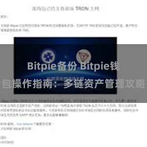 Bitpie备份 Bitpie钱包操作指南：多链资产管理攻略