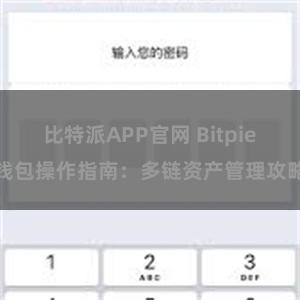 比特派APP官网 Bitpie钱包操作指南：多链资产管理攻略