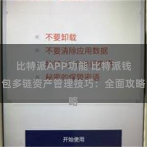 比特派APP功能 比特派钱包多链资产管理技巧：全面攻略