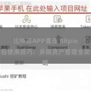 比特派APP直连 Bitpie钱包使用技巧：多链资产管理全攻略