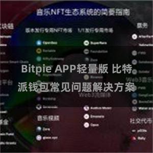 Bitpie APP轻量版 比特派钱包常见问题解决方案