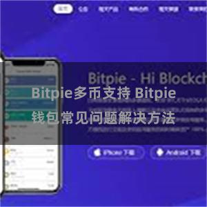 Bitpie多币支持 Bitpie钱包常见问题解决方法