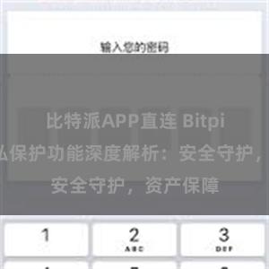 比特派APP直连 Bitpie钱包隐私保护功能深度解析：安全守护，资产保障