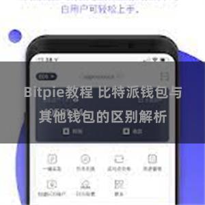 Bitpie教程 比特派钱包与其他钱包的区别解析