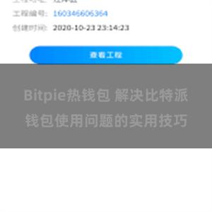 Bitpie热钱包 解决比特派钱包使用问题的实用技巧