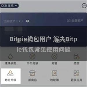 Bitpie钱包用户 解决Bitpie钱包常见使用问题