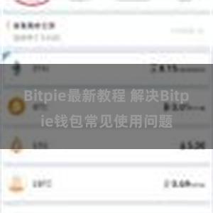 Bitpie最新教程 解决Bitpie钱包常见使用问题