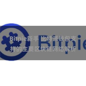 Bitpie新手 比特派钱包支持的主要区块链网络解析