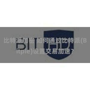 比特派加密 如何通过比特派(Bitpie)设置交易加速？