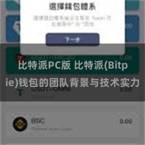 比特派PC版 比特派(Bitpie)钱包的团队背景与技术实力