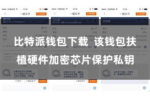比特派钱包下载  该钱包扶植硬件加密芯片保护私钥